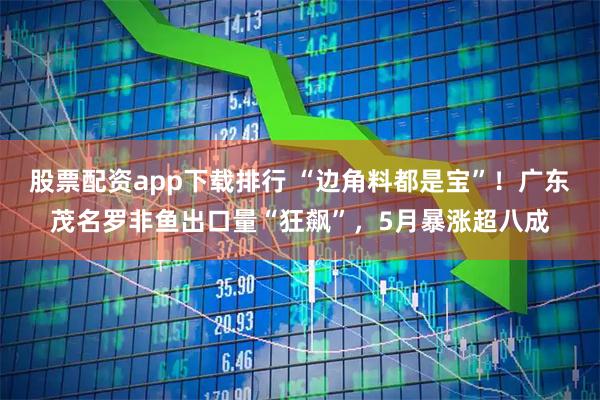 股票配资app下载排行 “边角料都是宝”！广东茂名罗非鱼出口量“狂飙”，5月暴涨超八成